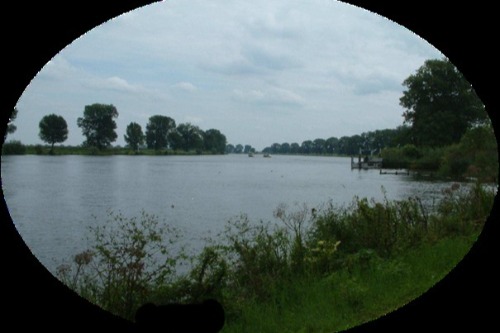 De Maas, een natuurparadijs