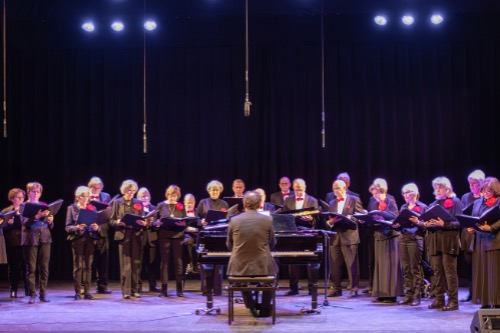 Liedertafel, 'Oefening en vermaak'